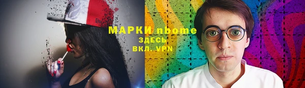 a pvp Новозыбков