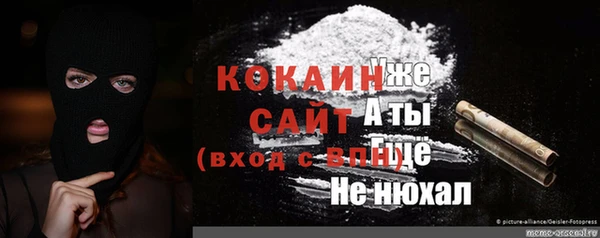 a pvp Новозыбков