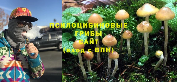 ГАЛЛЮЦИНОГЕННЫЕ ГРИБЫ Новокубанск