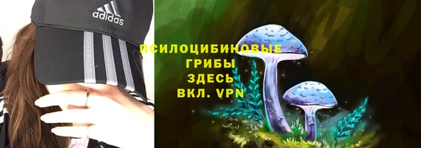 ГАЛЛЮЦИНОГЕННЫЕ ГРИБЫ Новокубанск