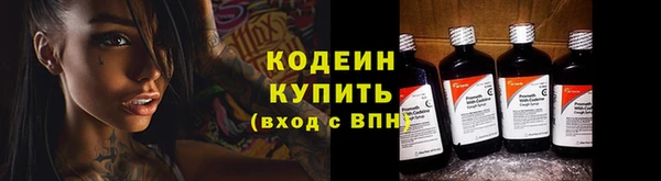 a pvp Новозыбков