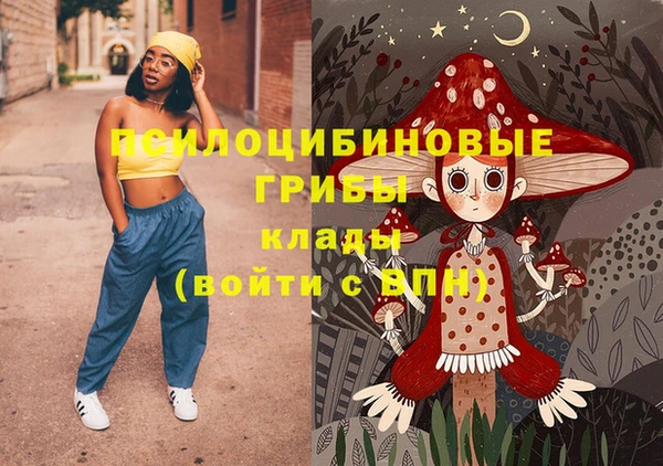 ГАЛЛЮЦИНОГЕННЫЕ ГРИБЫ Новокубанск