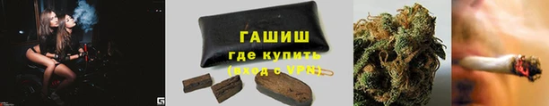 a pvp Новозыбков