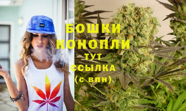 ГАЛЛЮЦИНОГЕННЫЕ ГРИБЫ Новокубанск