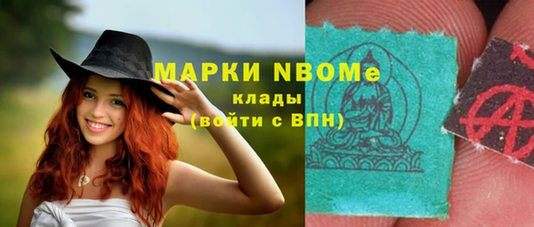 a pvp Новозыбков
